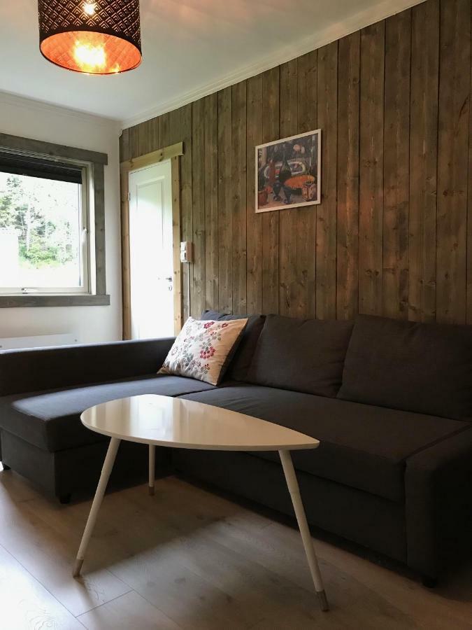 Kvamseter Lodge - Mountain Apartments ノールハイムスン エクステリア 写真