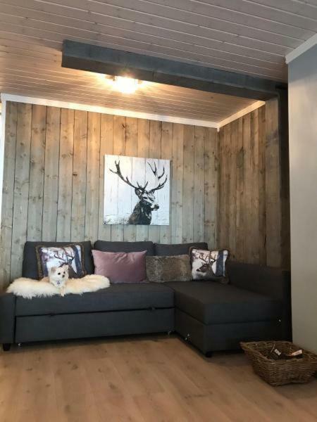 Kvamseter Lodge - Mountain Apartments ノールハイムスン エクステリア 写真