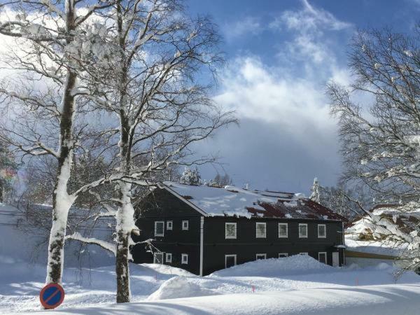 Kvamseter Lodge - Mountain Apartments ノールハイムスン エクステリア 写真