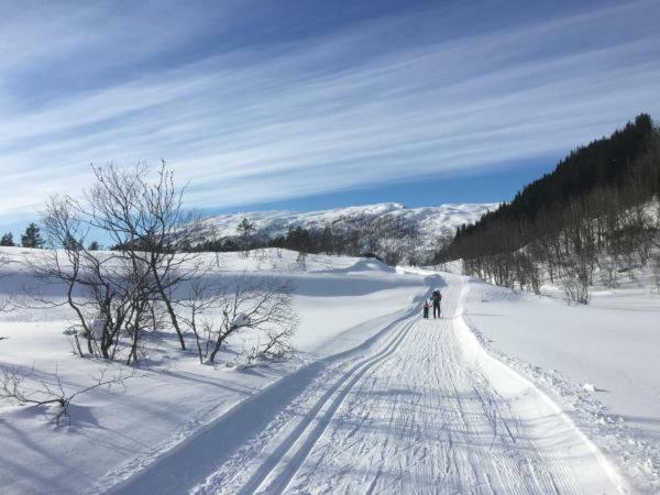 Kvamseter Lodge - Mountain Apartments ノールハイムスン エクステリア 写真